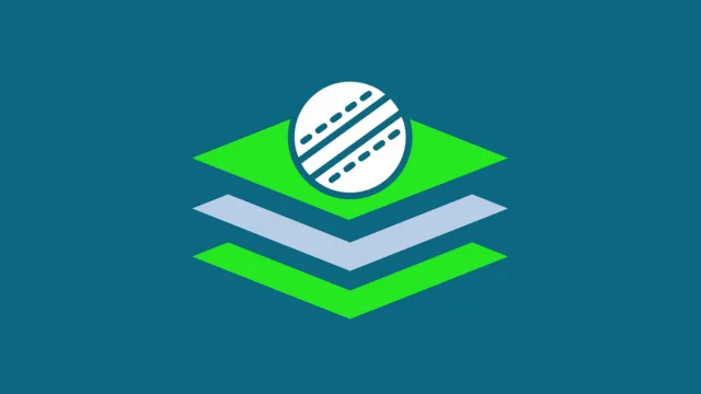 Platform Cricket Logo