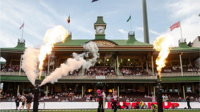 Sydney Sixers Membership & attendance