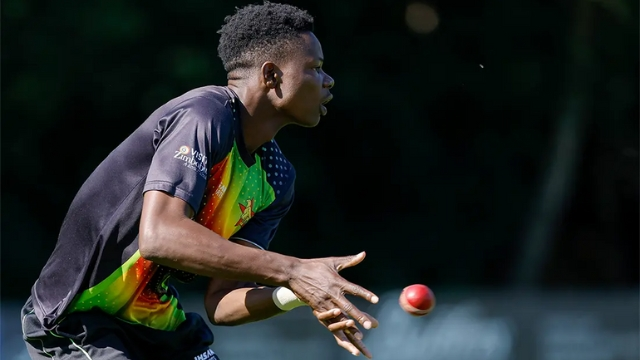Zimbabwean cricketer in team jersey focusing during a fielding practice session with a red cricket ball.