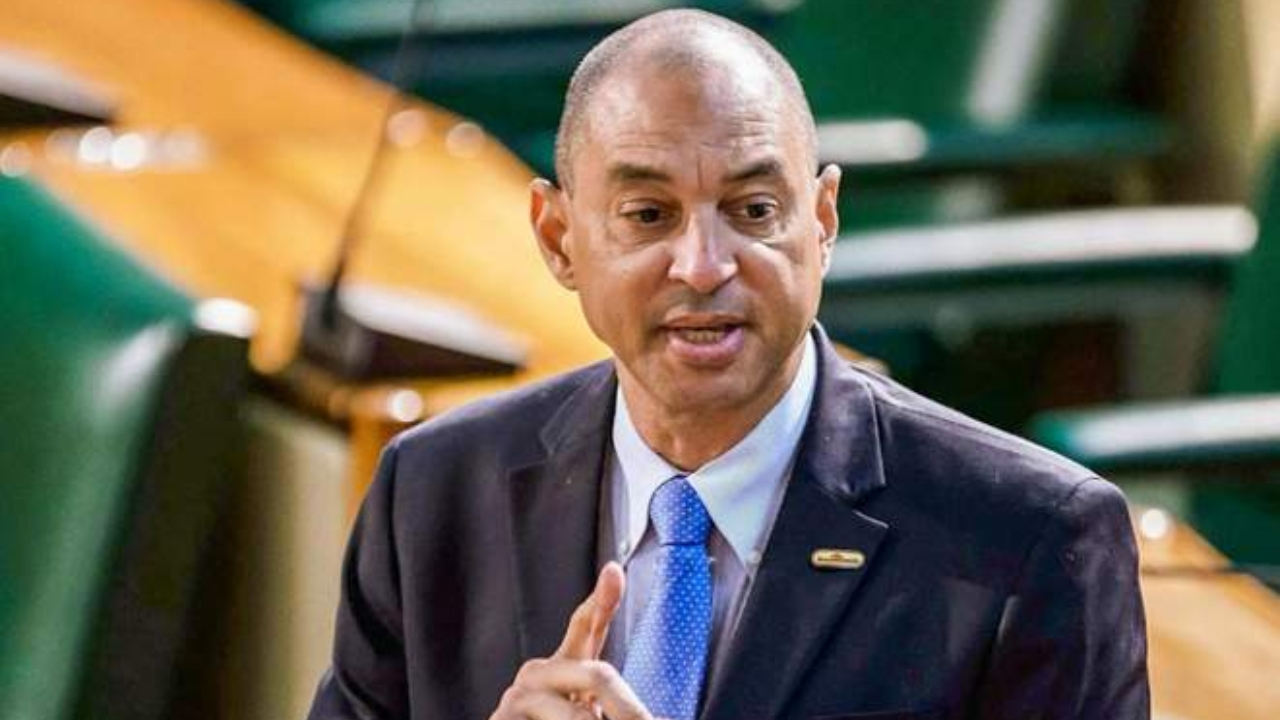 Don Wehby speaking during a parliamentary session, wearing a dark suit and blue tie.
