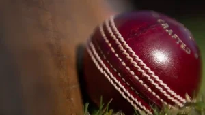 Close-up of a red leather cricket ball resting against a wooden cricket bat on grass.