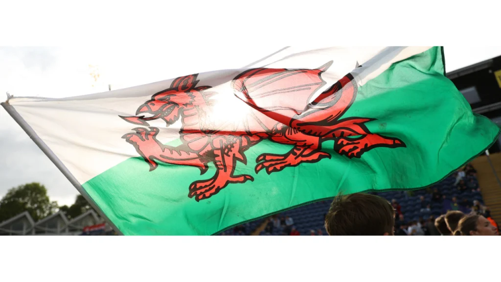 Welsh flag waving at Sophia Gardens cricket stadium during a match or event
