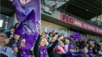 Hobart Hurricanes fans waving team flags in the crowd during a BBL match