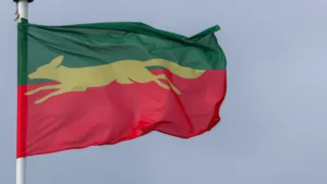 Leicestershire County Cricket Club flag flying on a flagpole