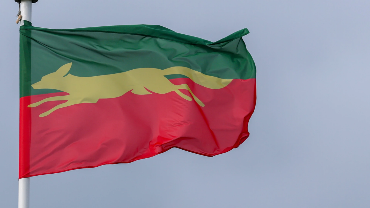Leicestershire County Cricket Club flag flying on a flagpole