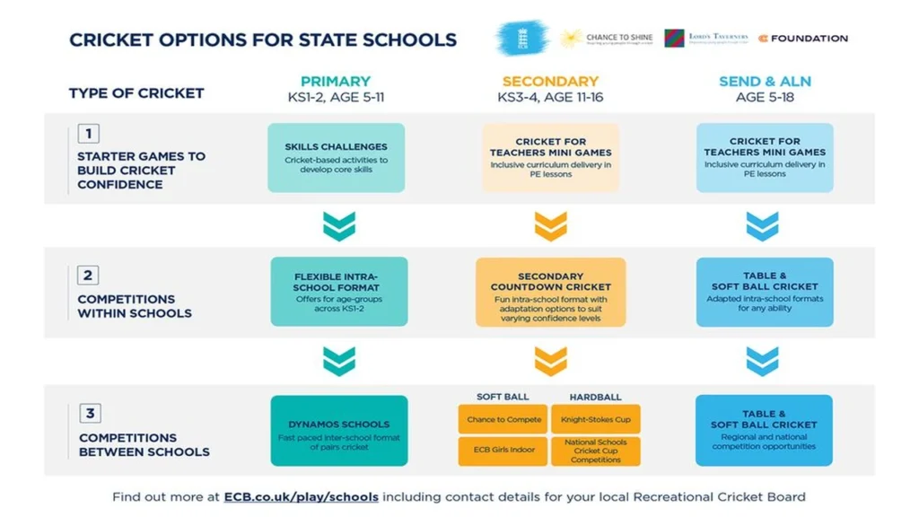 Cricket options for state schools infographic showing primary, secondary and SEND and ALN cricket programmes and competitions.
